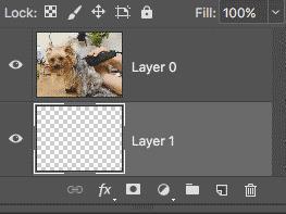 ps零基础入门教程全套免费观看,ps零基础入门教程直播全套