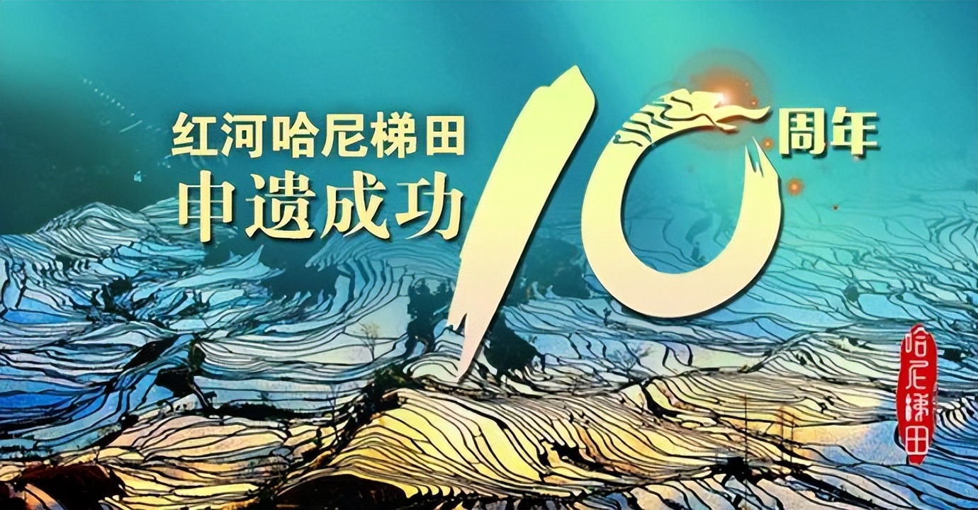 2019中考成绩查询及填报志愿,中考报考志愿结果在哪里查询