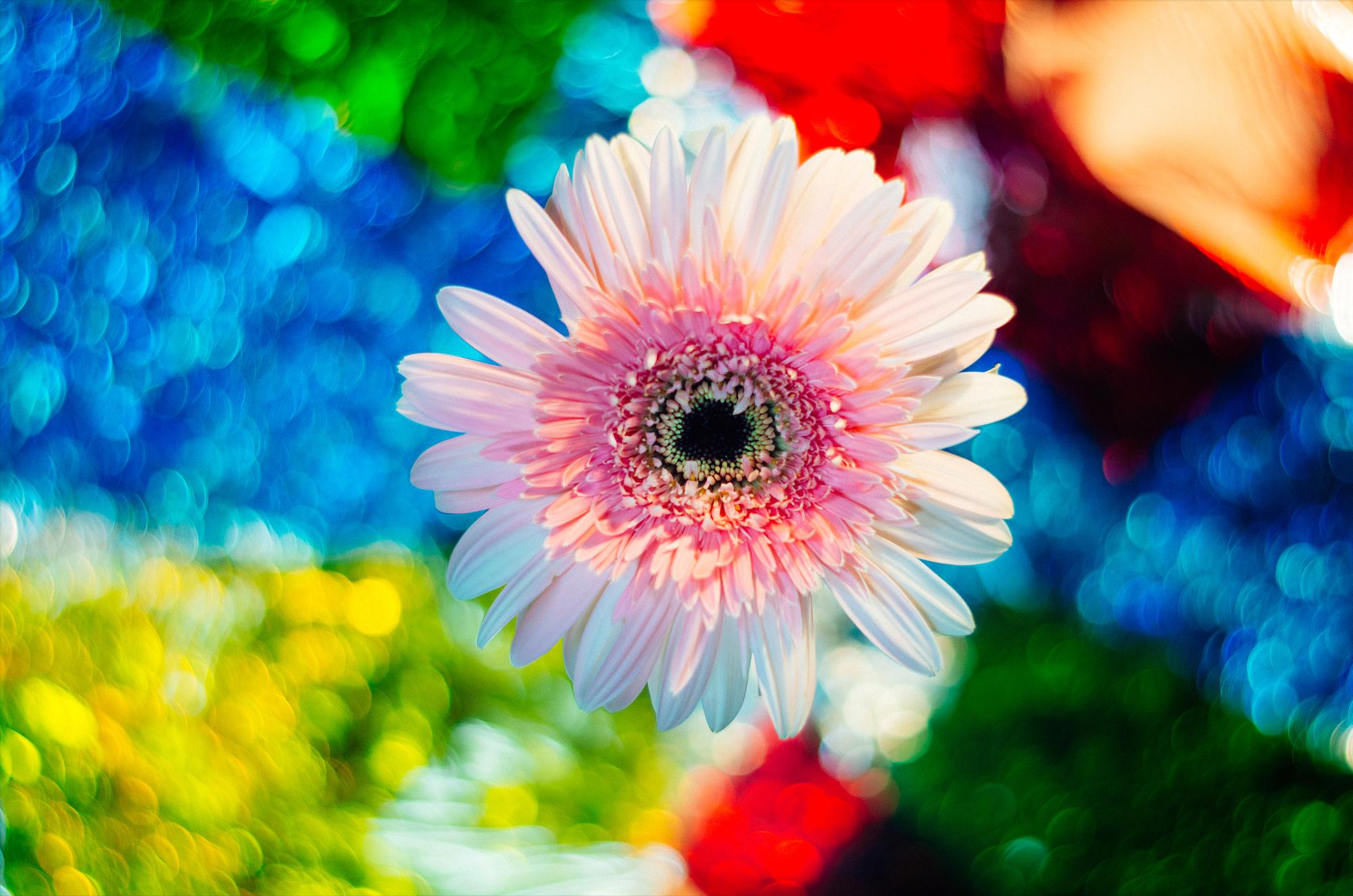 在古代苹果象征着什么,苹果在古希腊的含义和象征