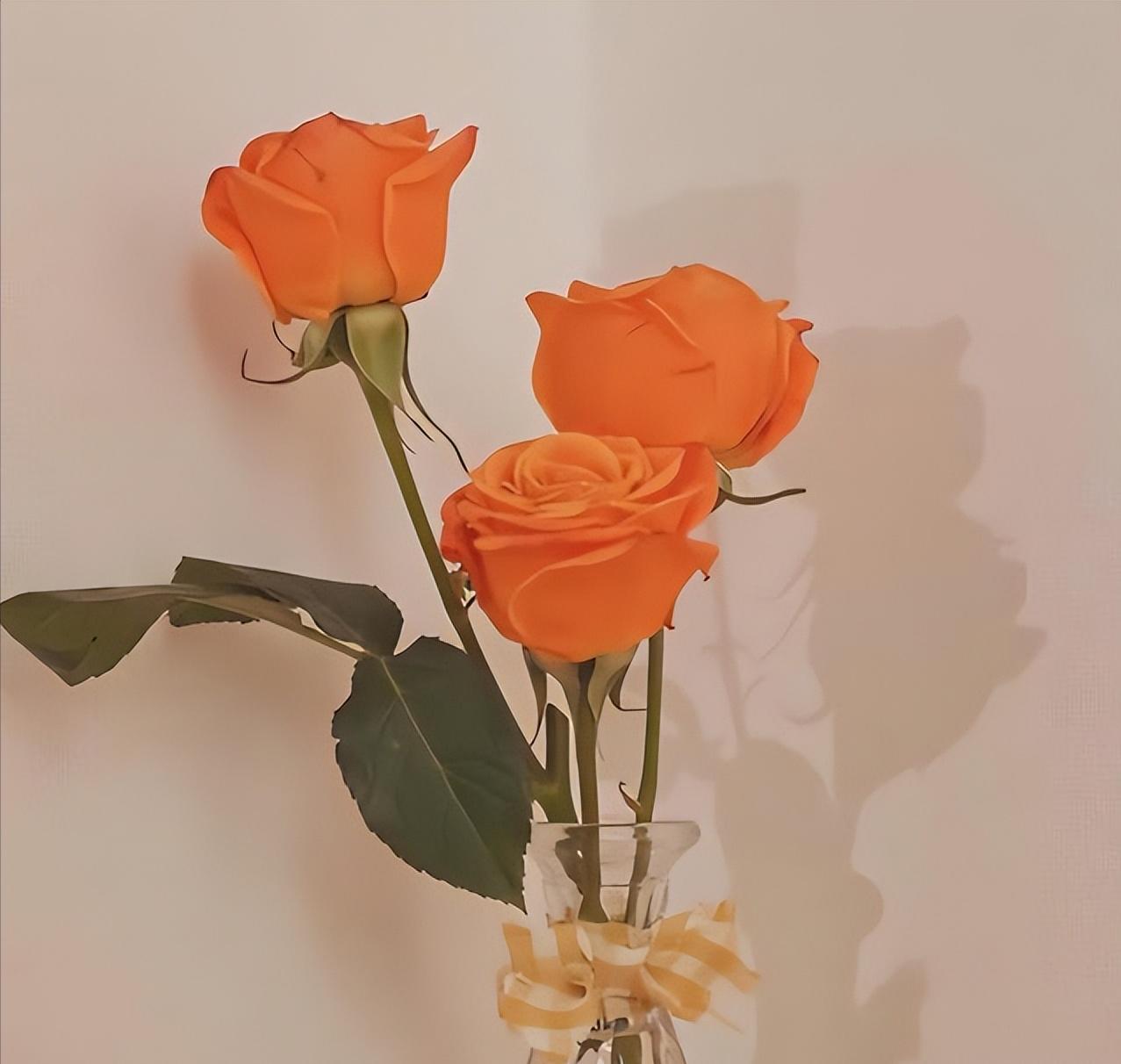 其实男人用情越深越会主动,其实男人更容易动心