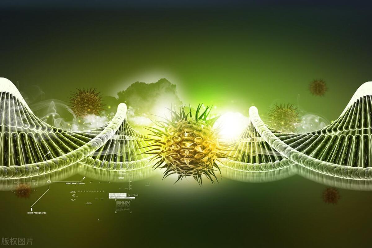 梅毒治疗如果没有随访会怎样,梅毒未经治疗可以自愈吗