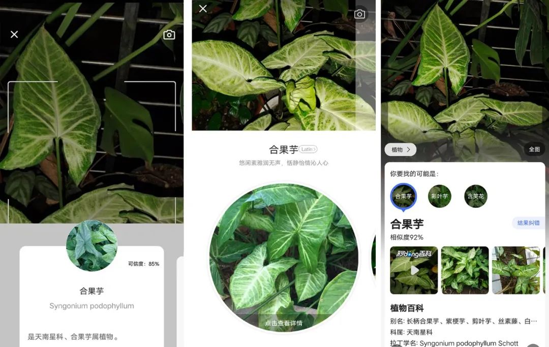 养花好物神器,花友必备神器