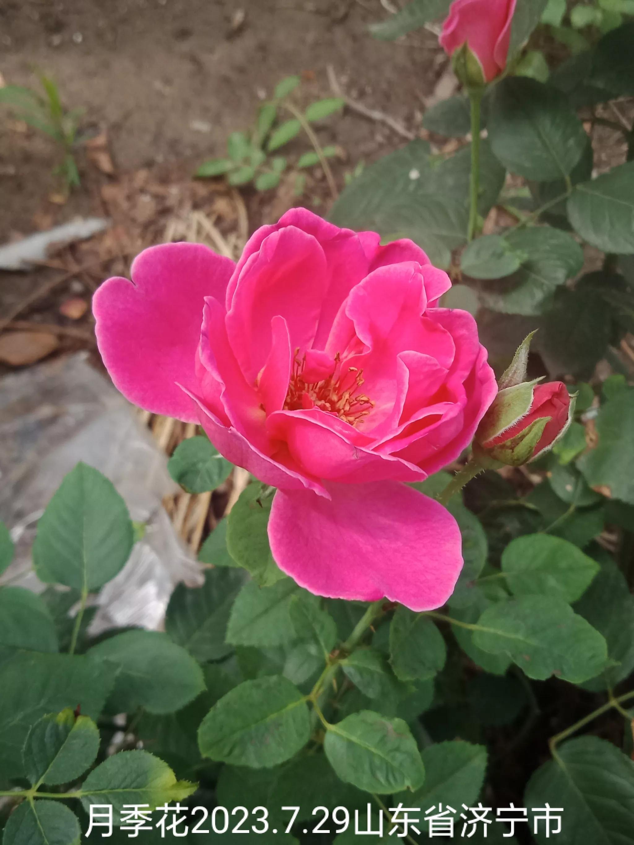 房屋漏水房顶需要怎么改造,旧房改造后楼顶漏水找哪里处理