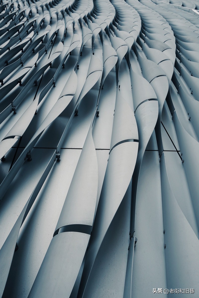 罗生门和黄粱梦,罗生门香港live