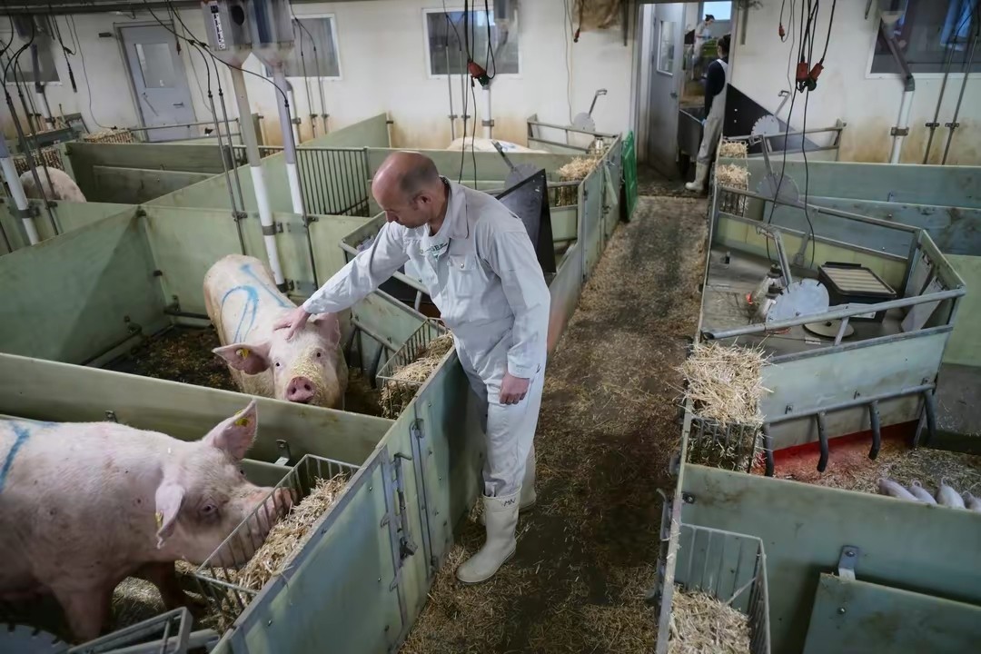 北欧生活真的富裕吗,北欧怎么变得富裕发达