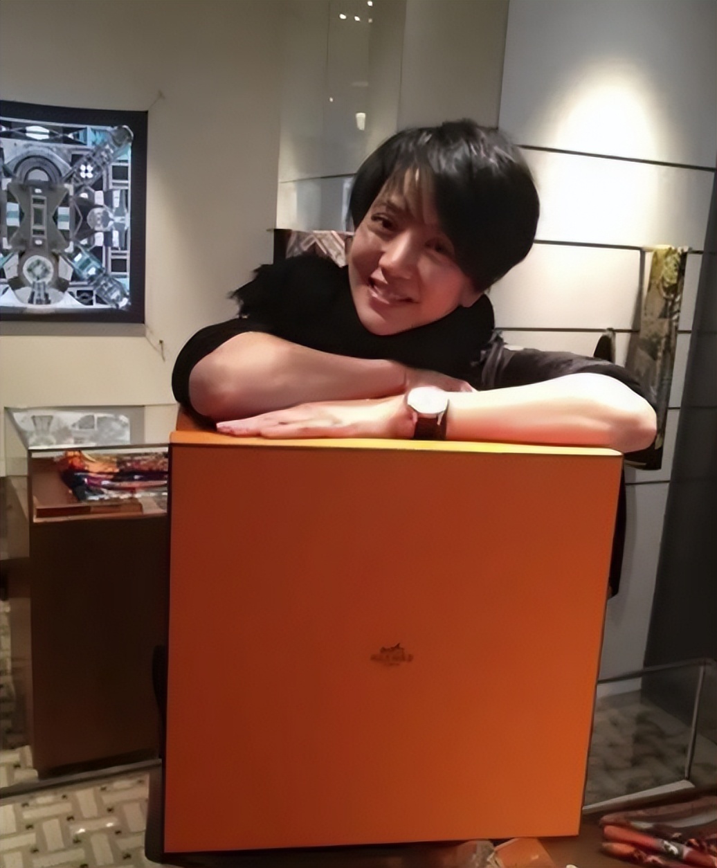 港姐袁咏仪包包,袁咏仪最贵的爱马仕包