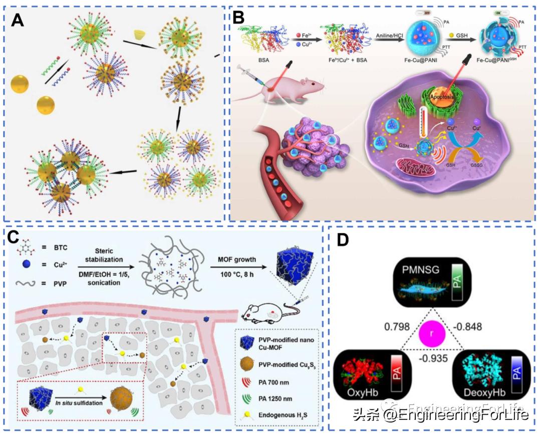 纳米材料抗肿瘤药物怎么用,新型纳米材料治疗肿瘤