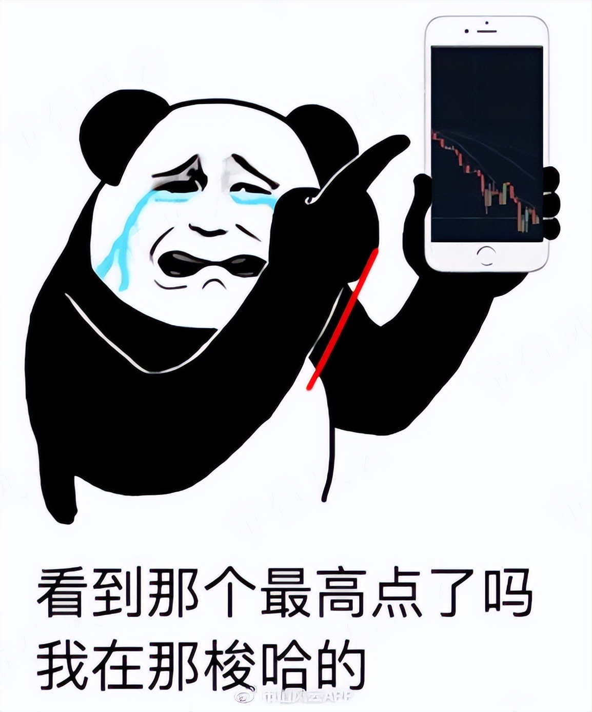 中国qdii基金,我国qdii可以投资的有