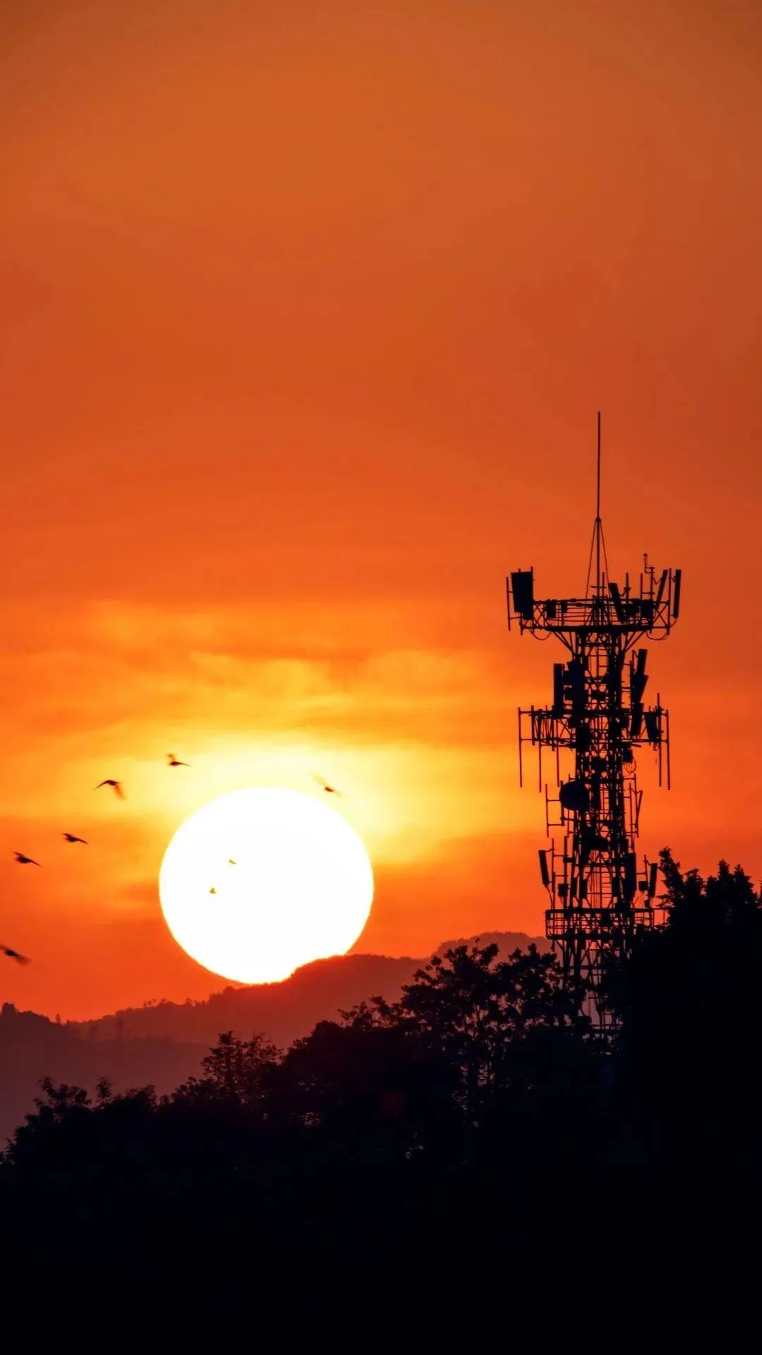 悬念揭晓在即,悬念揭晓视频