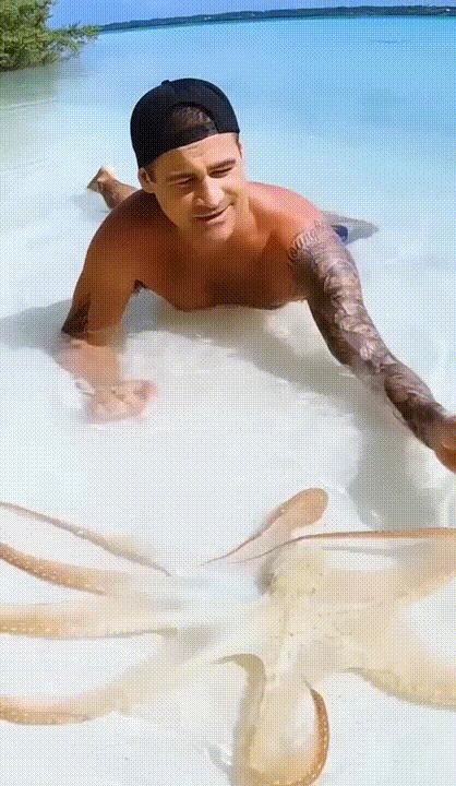 海底奇观欣赏,海底世界奇妙之旅图片