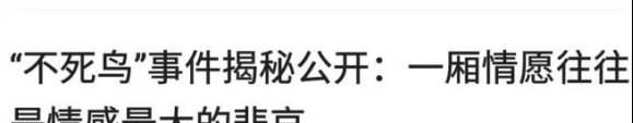 日本原创牛郎在网络上疯传,我却看到了两性之间最残酷的真相