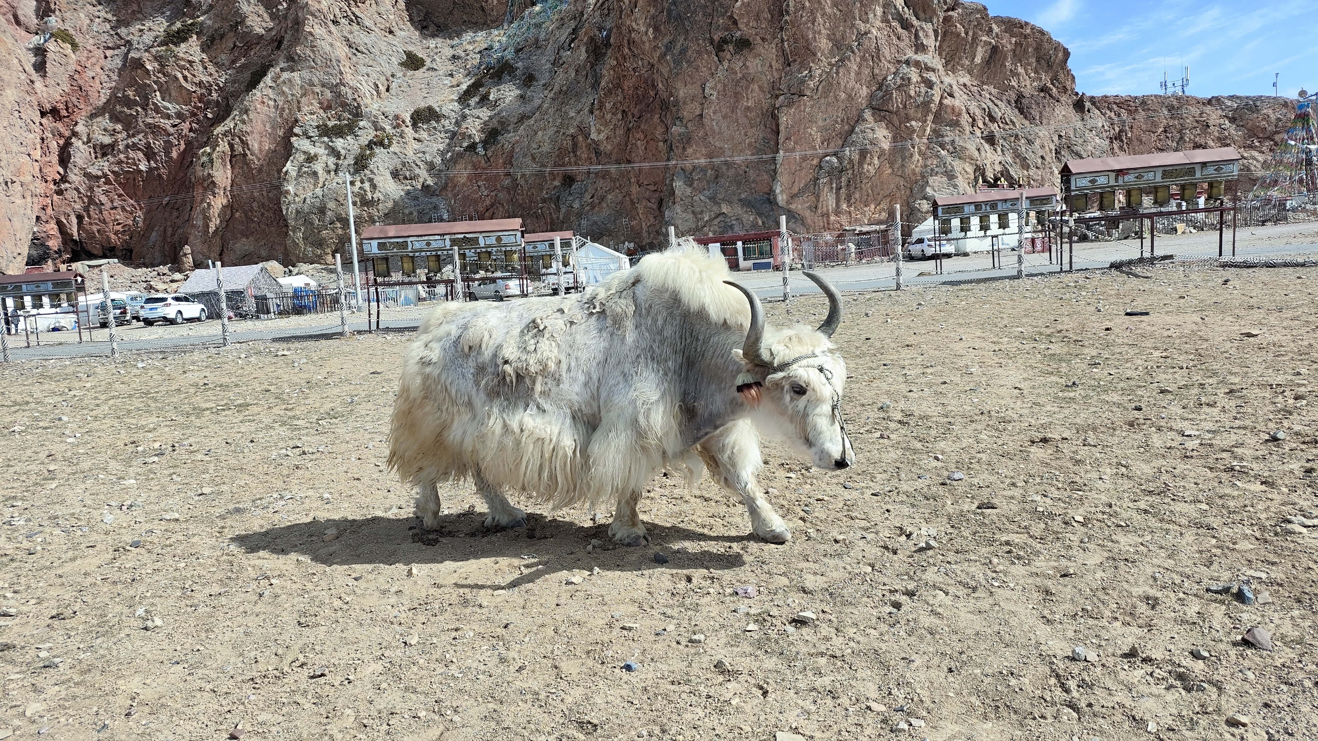 去外省穷游三五天6千块够了吗,云南5天穷游多少钱