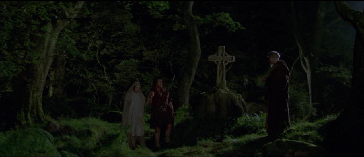 勇敢的心电影影评800字,电影勇敢的心感悟