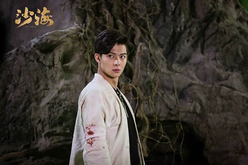 宋轶从配角到主角,宋轶沙溢的综艺节目