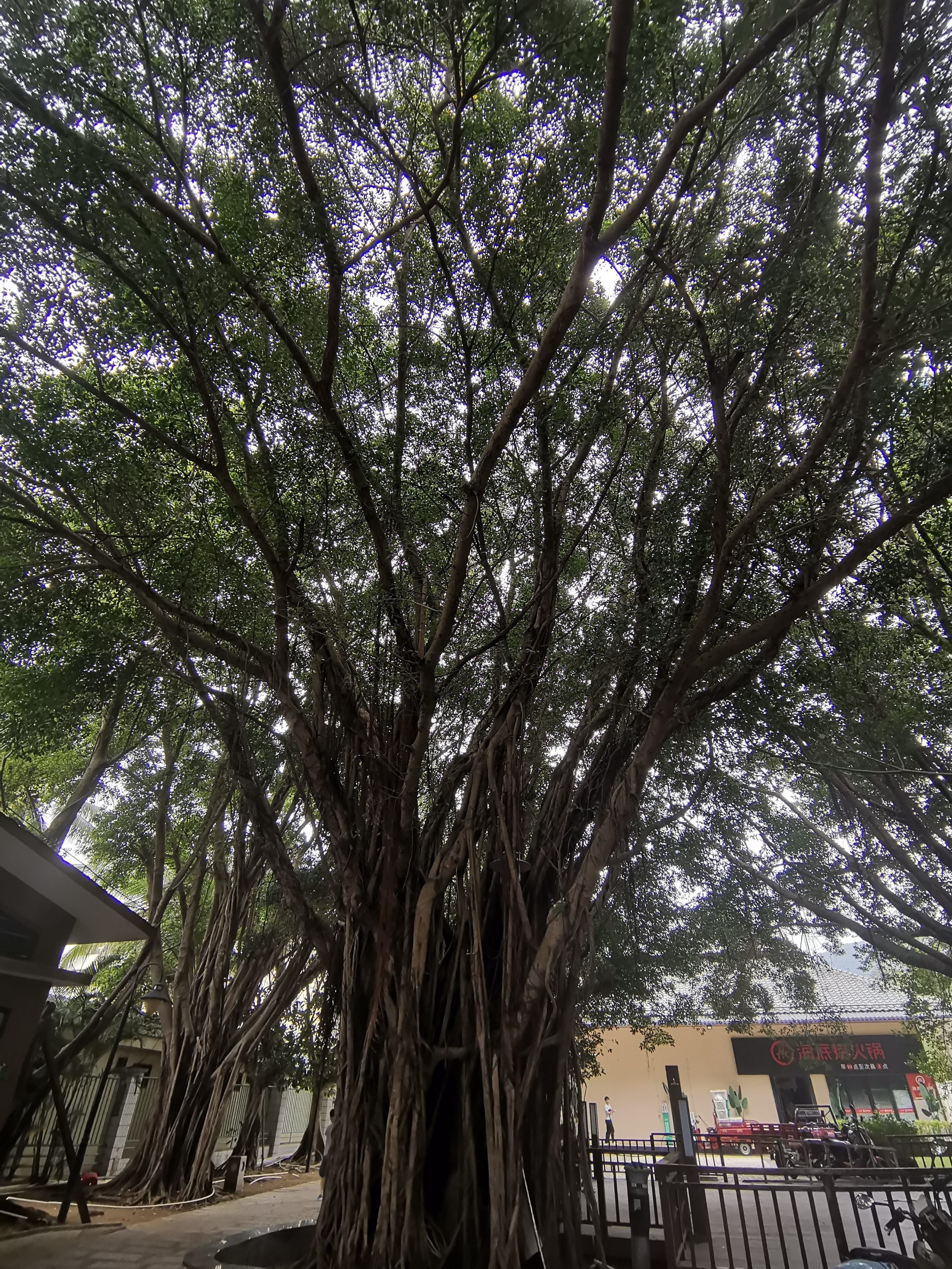 海南自驾环岛游攻略三亚出发,成都自驾海南环岛攻略路线