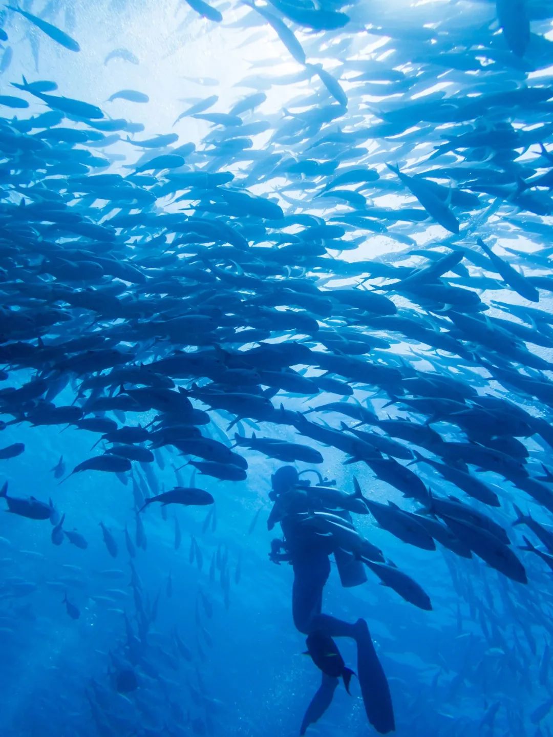 东南亚三个国家,东南亚现在疫情适合旅游吗