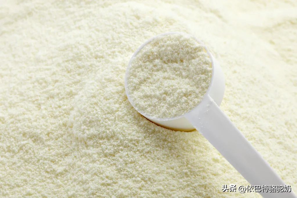 依巴特纯驼奶粉怎么样,依巴特驼奶粉是正宗驼奶吗