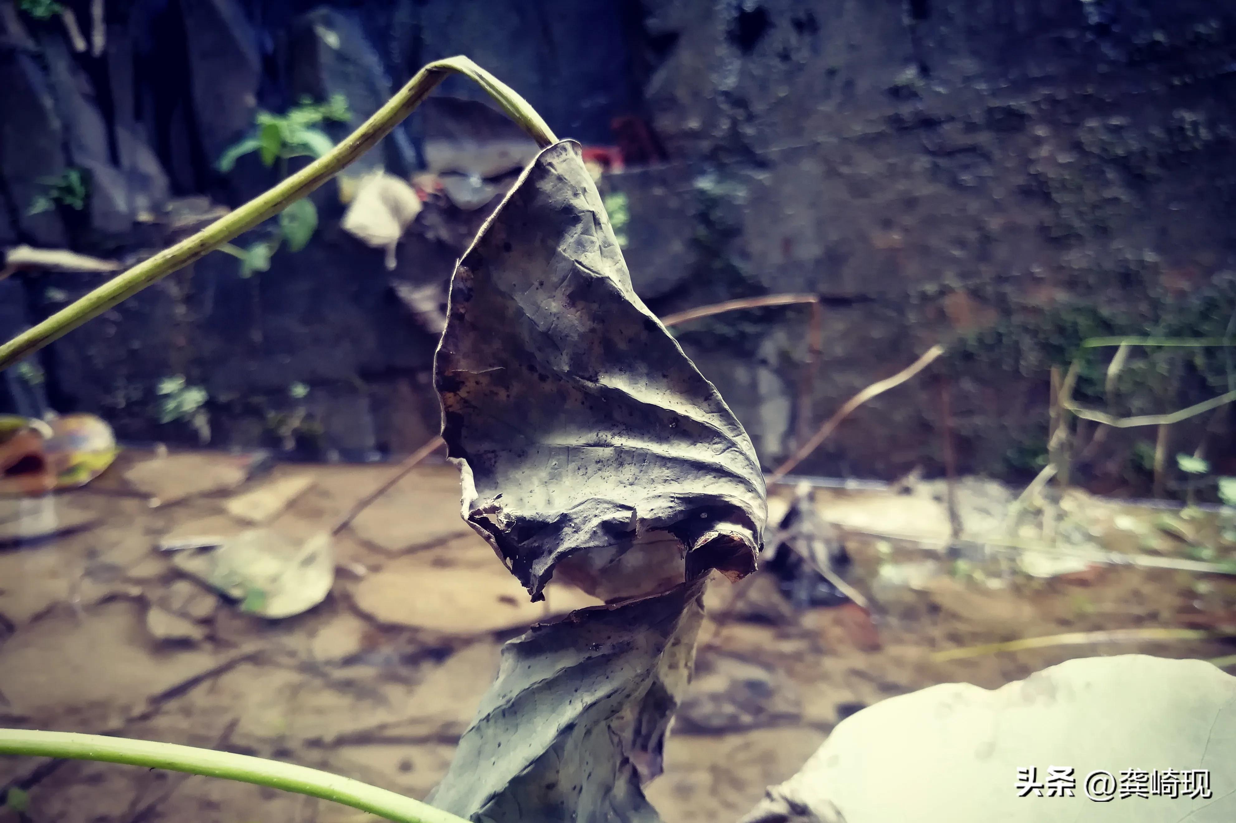 策划运作商业模式,策划商业模式要注意什么