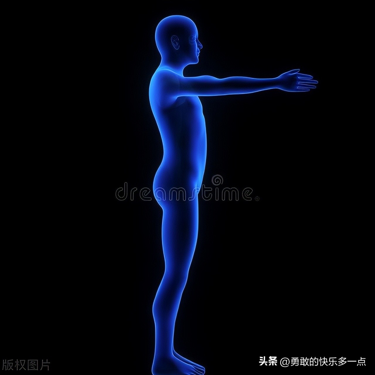 肱骨近端骨折,肱骨近端骨折康复训练