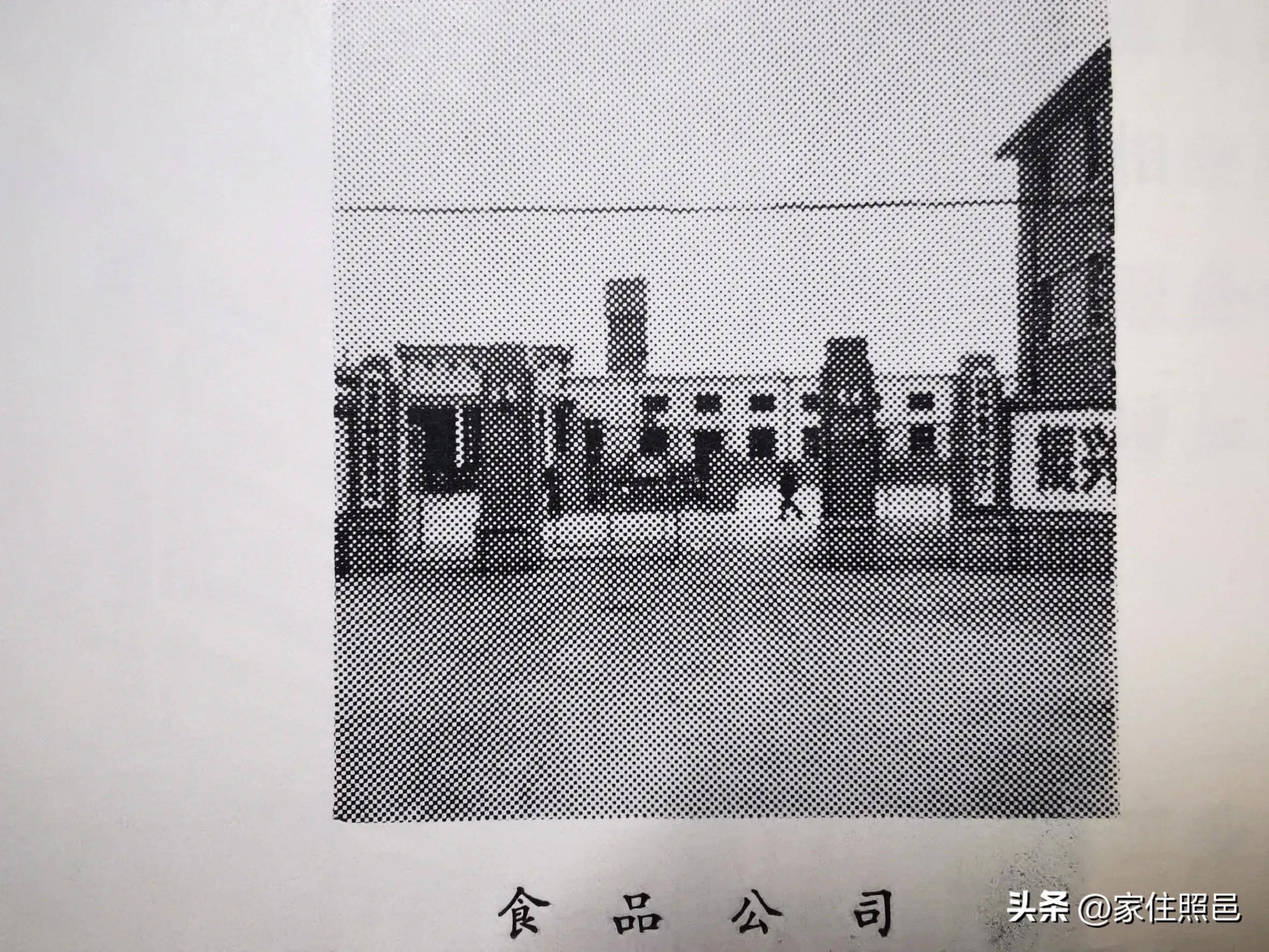 日照有什么好玩的地方,日照绿茶价格表