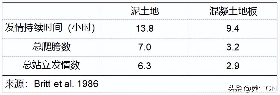 追溯根源：发情监测仍是让奶牛受胎的最佳工具