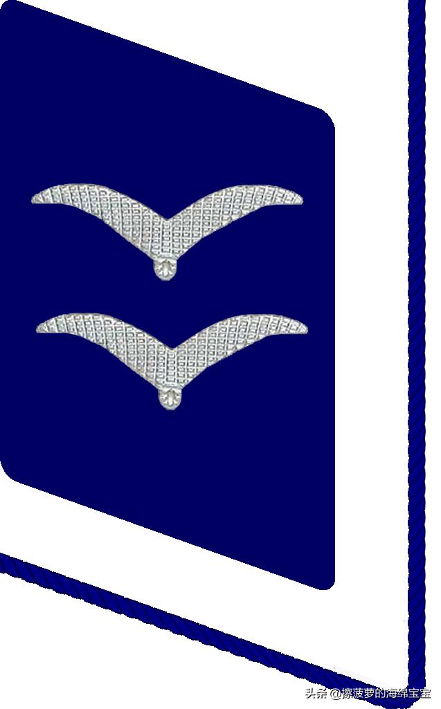 二战德国国防军医疗兵军衔标志