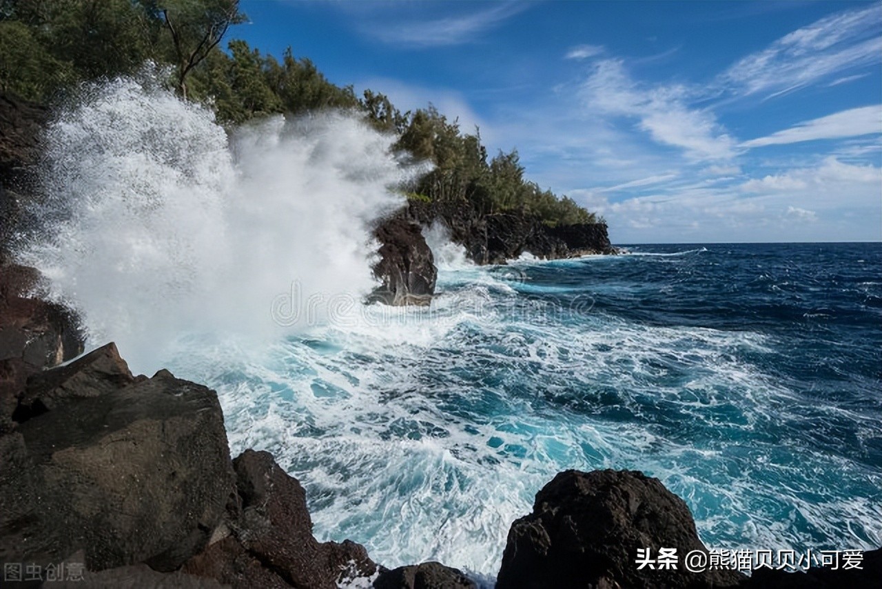 可达鸭走红背后肯德基的焦虑,肯德基可达鸭为什么炒那么高价