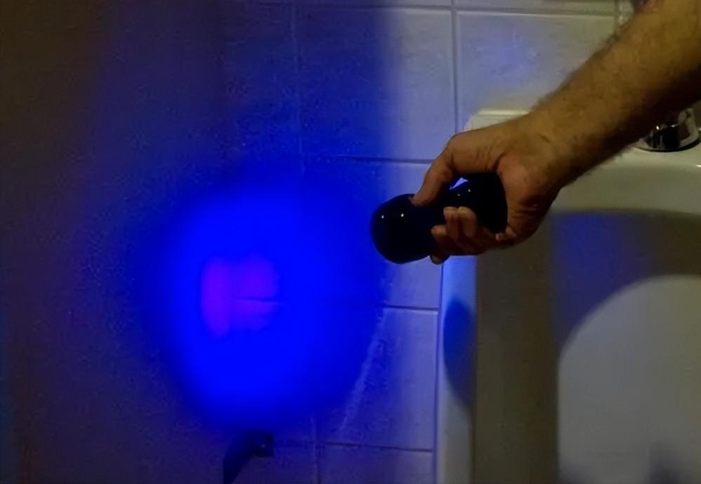 华裔女生租房失踪:不见人不见尸,妹妹大数据查询:真相毛骨悚然