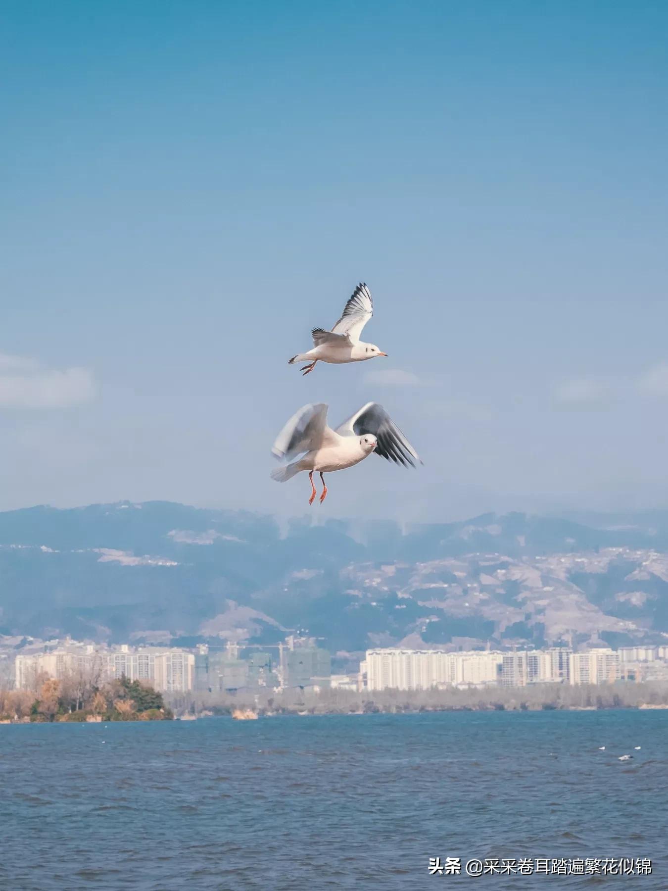 重庆自驾西昌邛海,西昌邛海环湖自驾游攻略