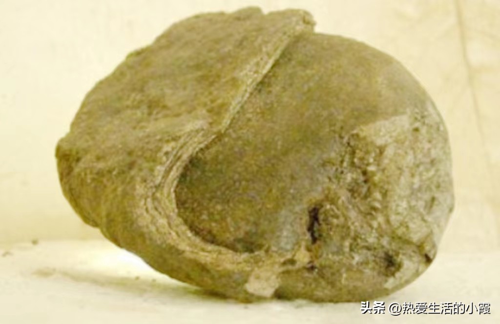 男子意外捡到无数金元宝 (男子海边捡宝)