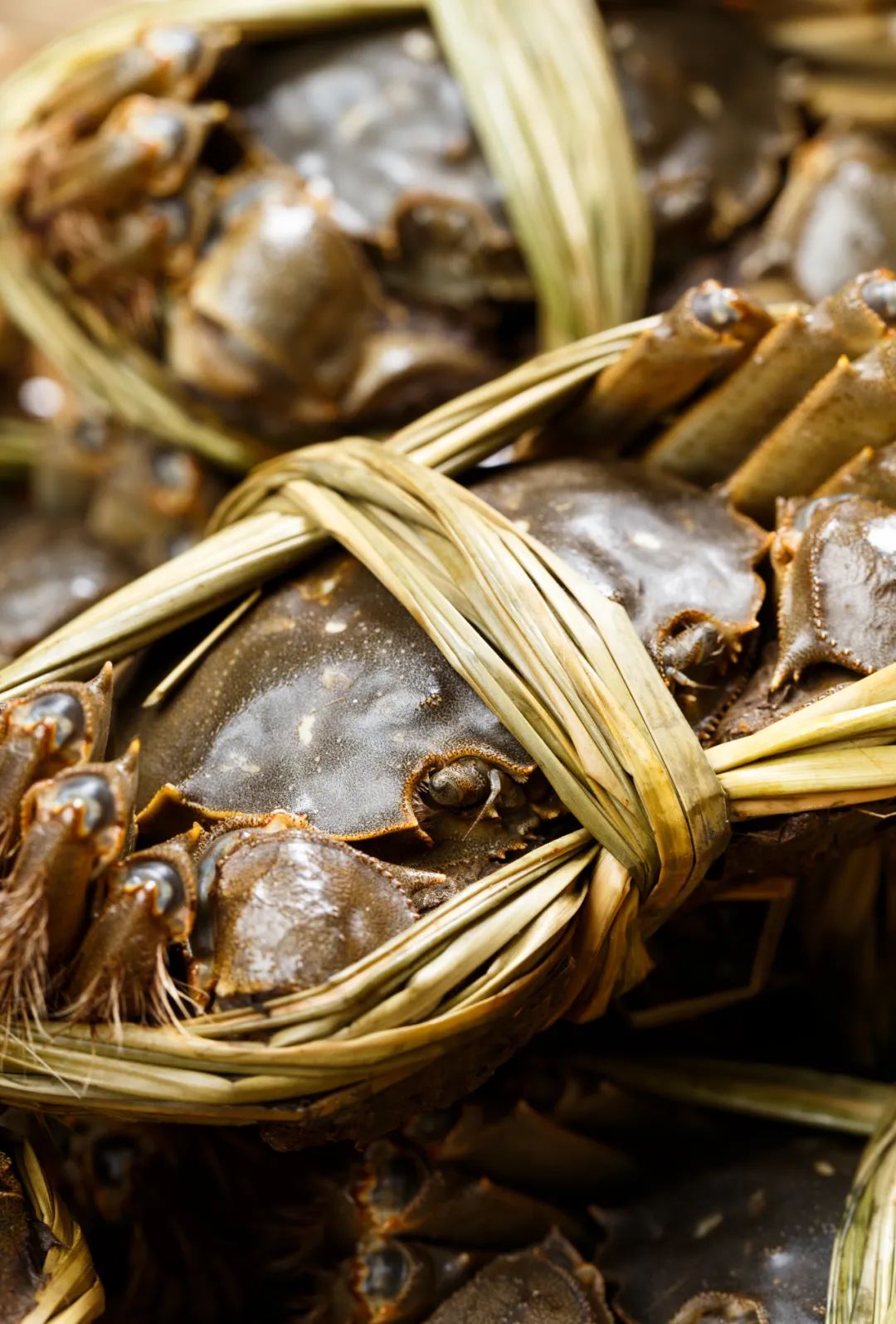 阳澄湖大闸蟹到底有多少真的假的,阳澄湖大闸蟹为什么很多假的