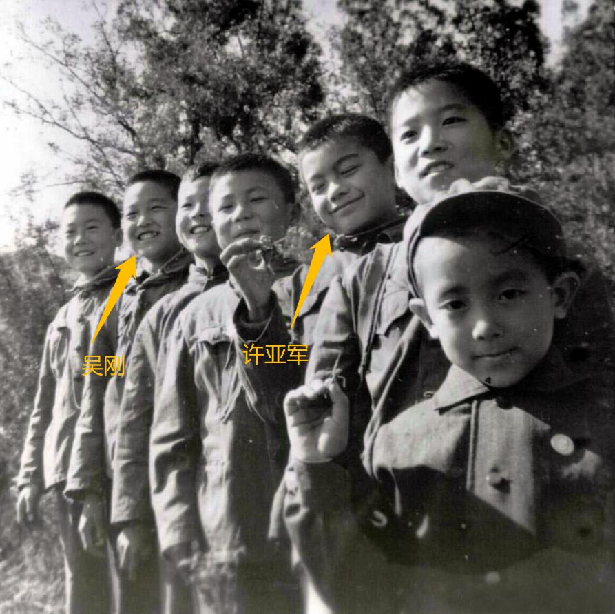 许亚军五次婚姻,许亚军四段婚姻时间段