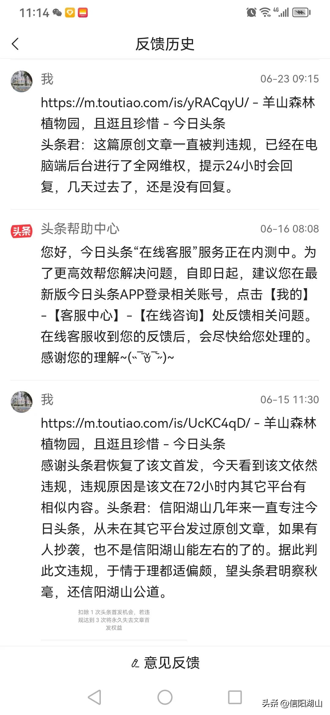 头条首发功能上线,头条首发功能说明