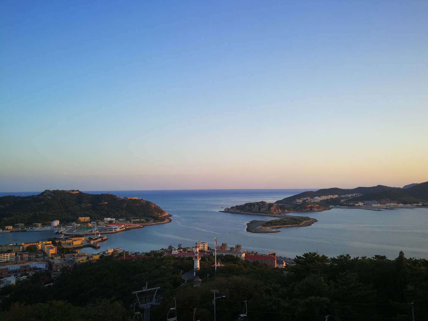 大连渔业发展,大连有多少种鱼类