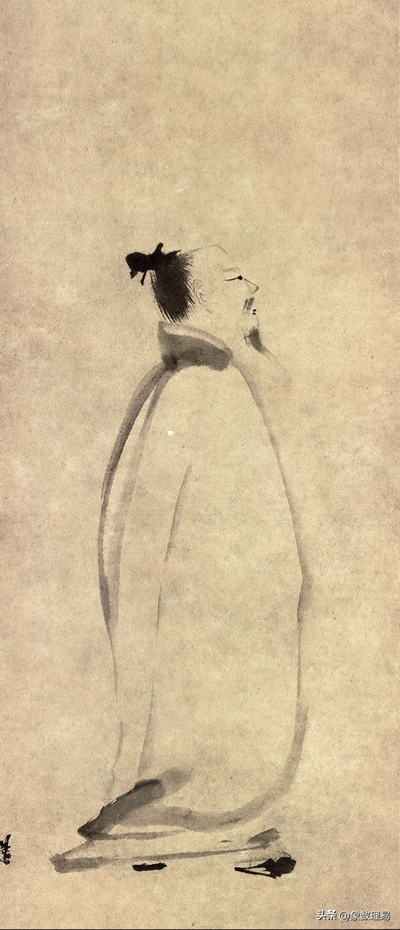 牡丹为什么不能定为中国国花,牡丹能定为国花吗