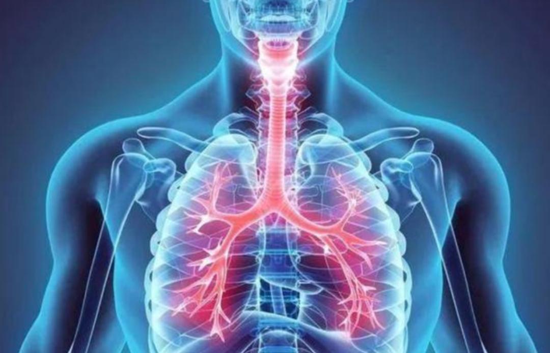 打桩机钻头掉了打捞不上来怎么办,打桩机钻头折了打捞为什么不抽水