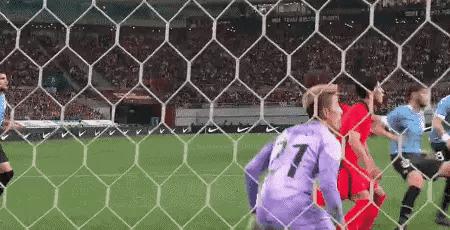 日韩世界杯克林斯曼,怪哉后续