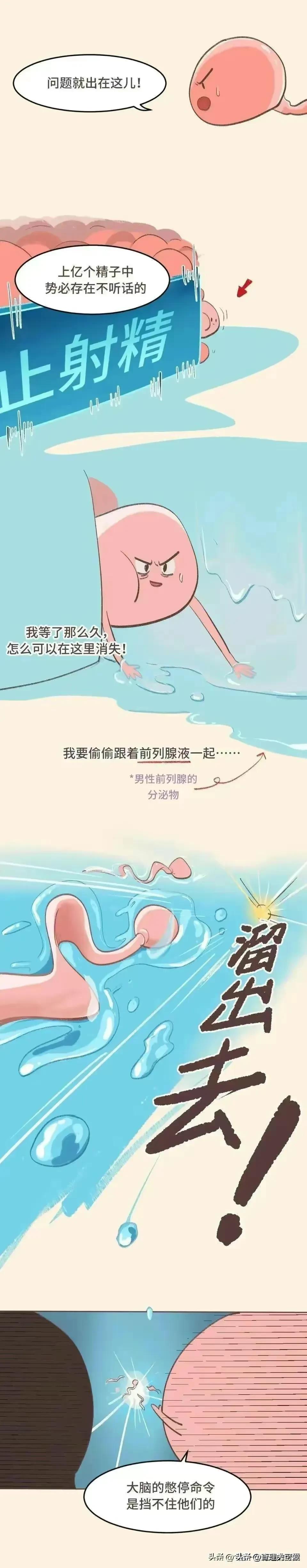 男女发生关系，最后关头不射进去会怀孕吗？漫画