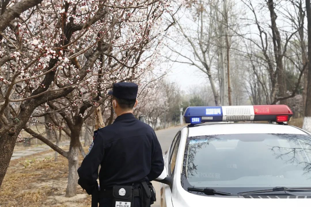 警花表白同为民警的新郎,警花燕子电影完整版