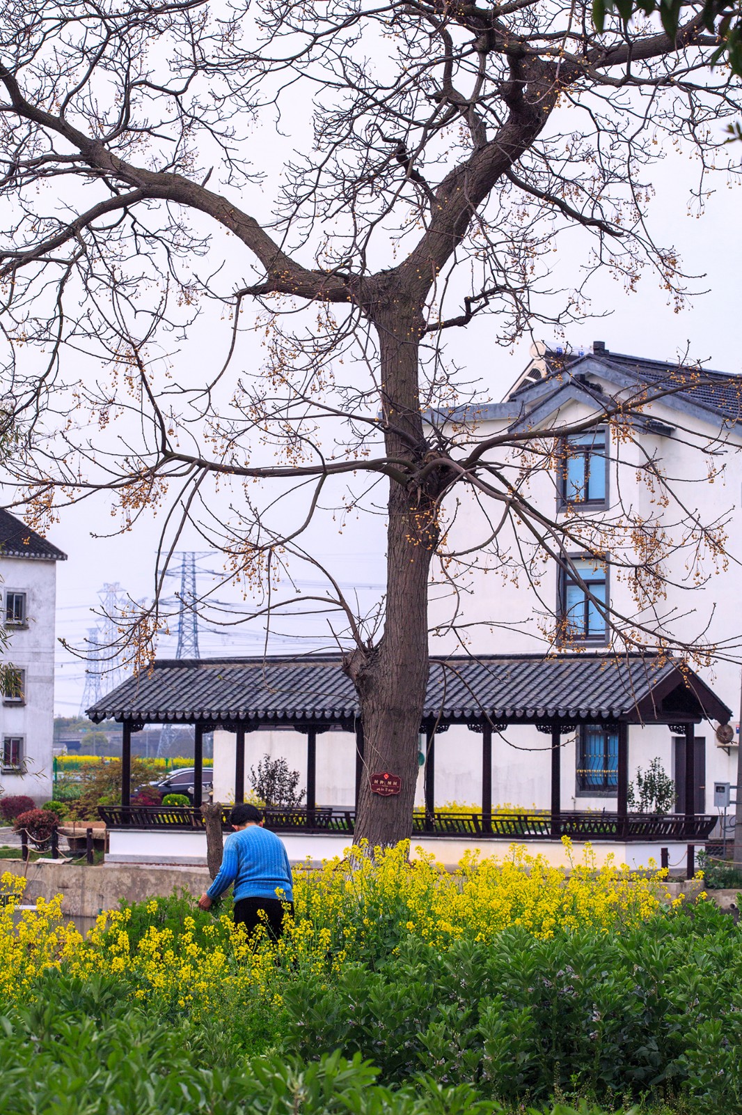 沙家浜景区诗句,沙家浜芦荡在什么地方