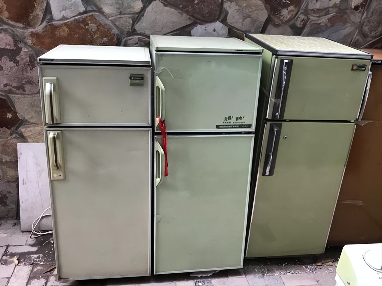 赵燕是山东哪里的,山东首富赵燕现状