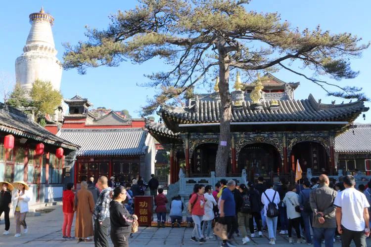 五台山请香祈福有讲解的吗,五台山许愿还愿全流程视频