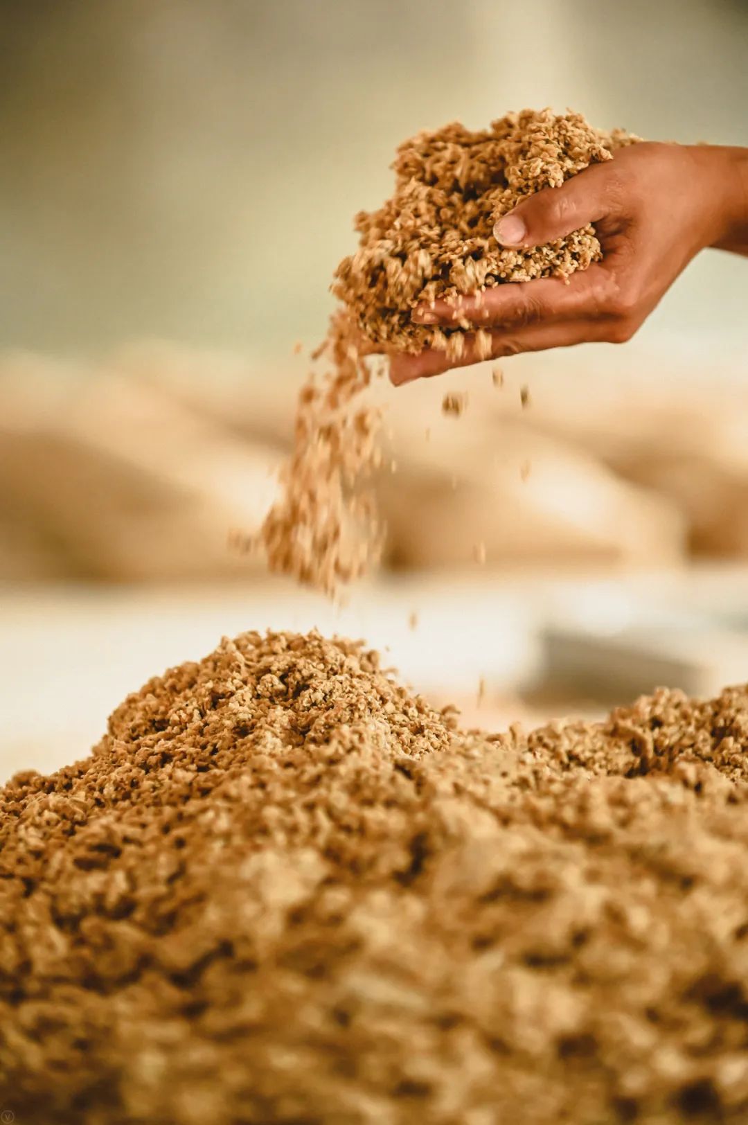 张颐武中国精神,张颐武谈酒文化