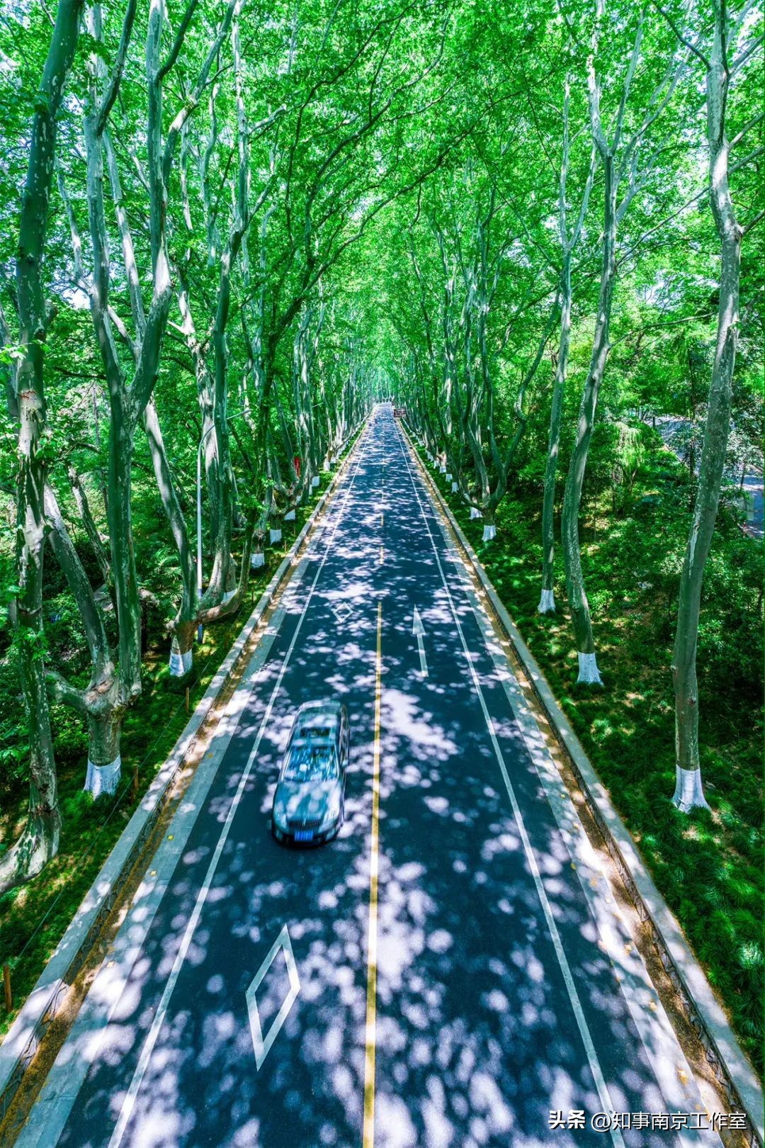 南京超详细一日游攻略,南京超详细旅游攻略