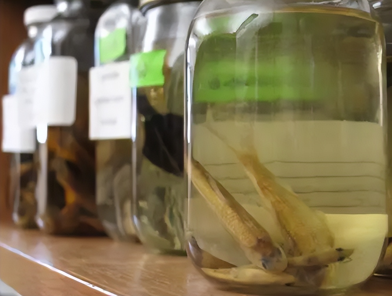 尸体药水泡海鲜，“色素”鸡蛋再现，315未曝光的菜场内幕太吓人