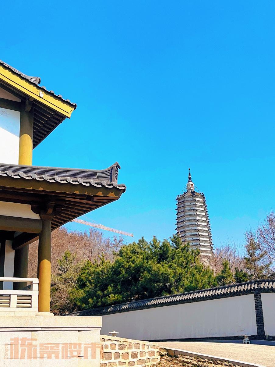 沈阳赏花公园推荐,沈阳附近杏花风景