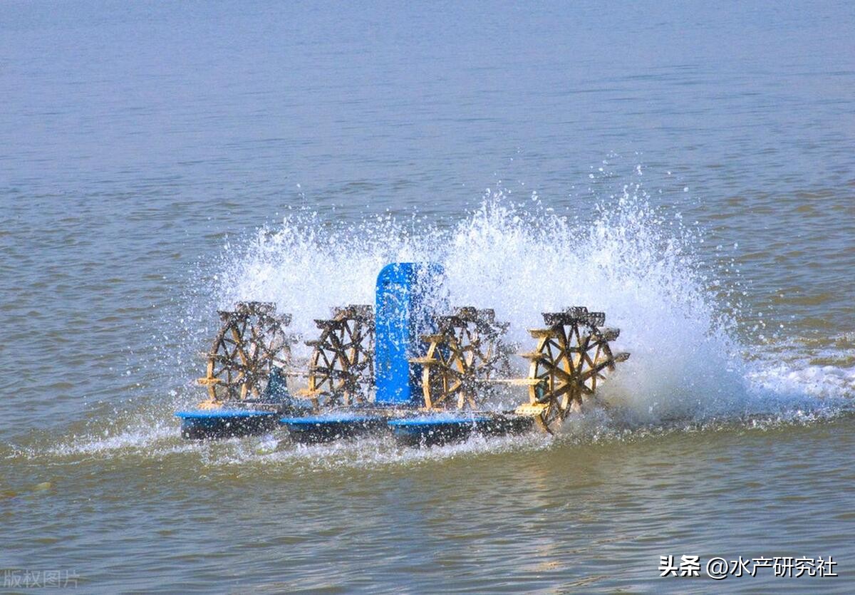 高锰酸钾和高铁酸钾杀菌效果,高锰酸钾与高铁酸钾效果哪个好