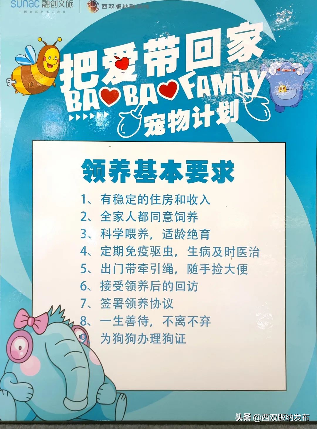 把爱带回家丨让领养代替购买，给它们一个温暖的家