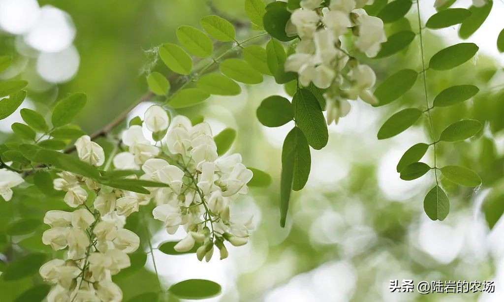 盘点市面五种常见蜂巢