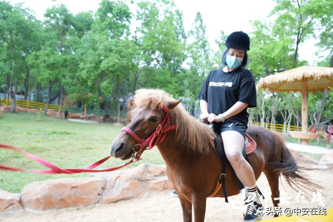 合肥野生动物园儿童乐园,六一儿童节合肥动物园